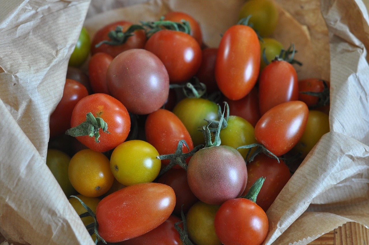 Tomatoes