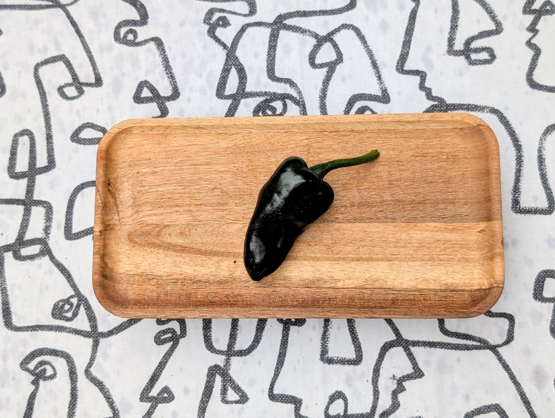 Poblano pepper