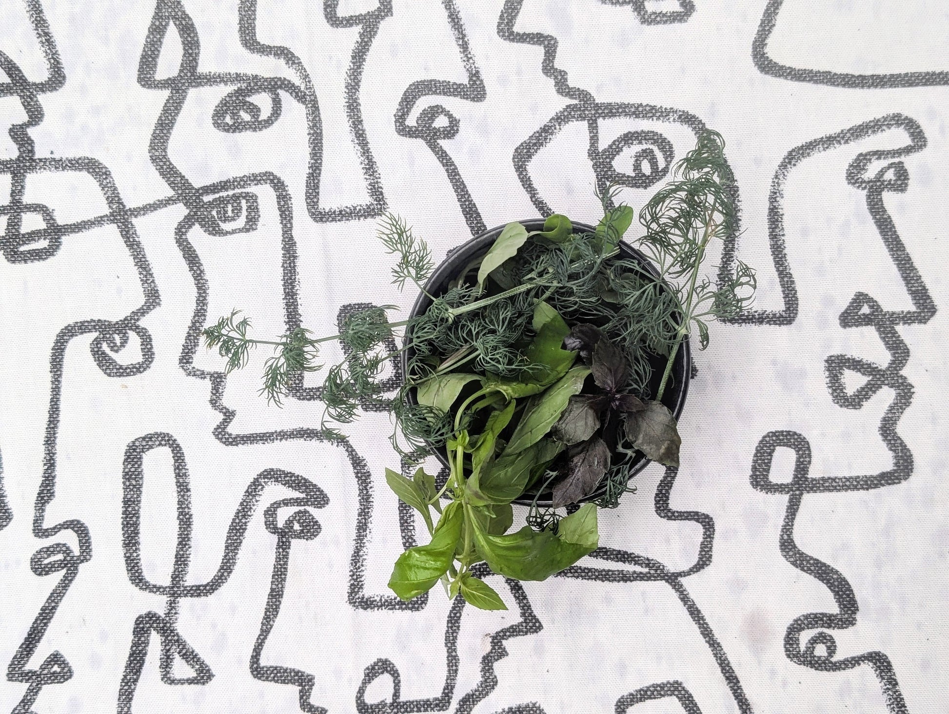 Herb Mix Fresh