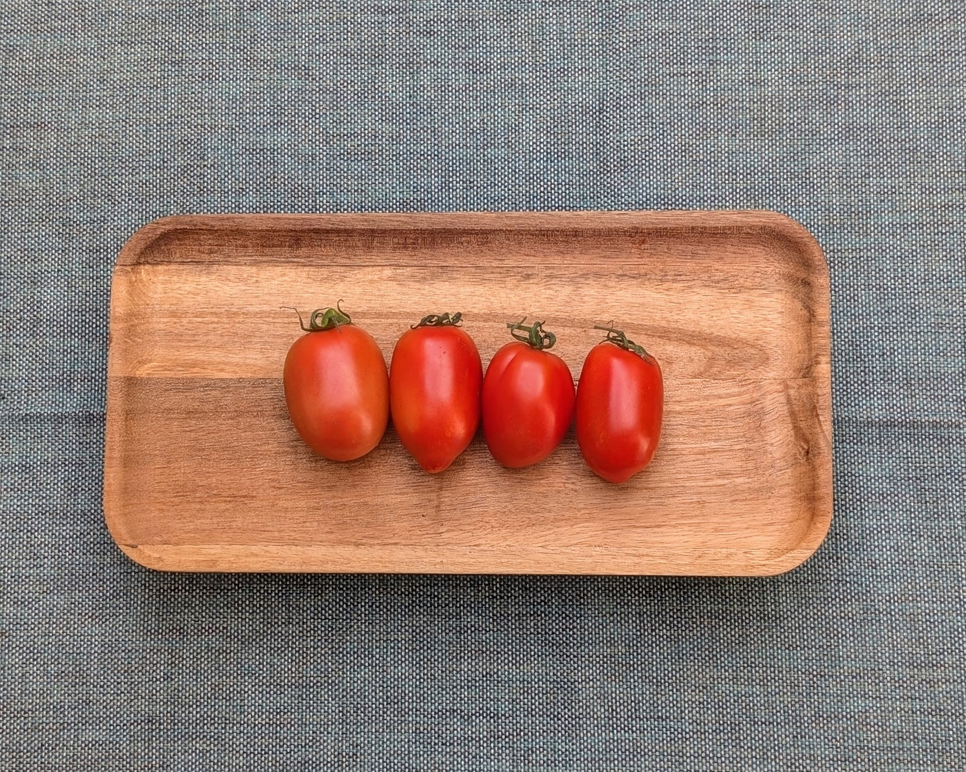 Roma VF Tomato