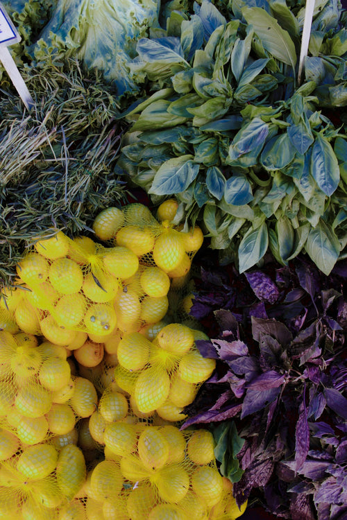 Basil Mix Fresh