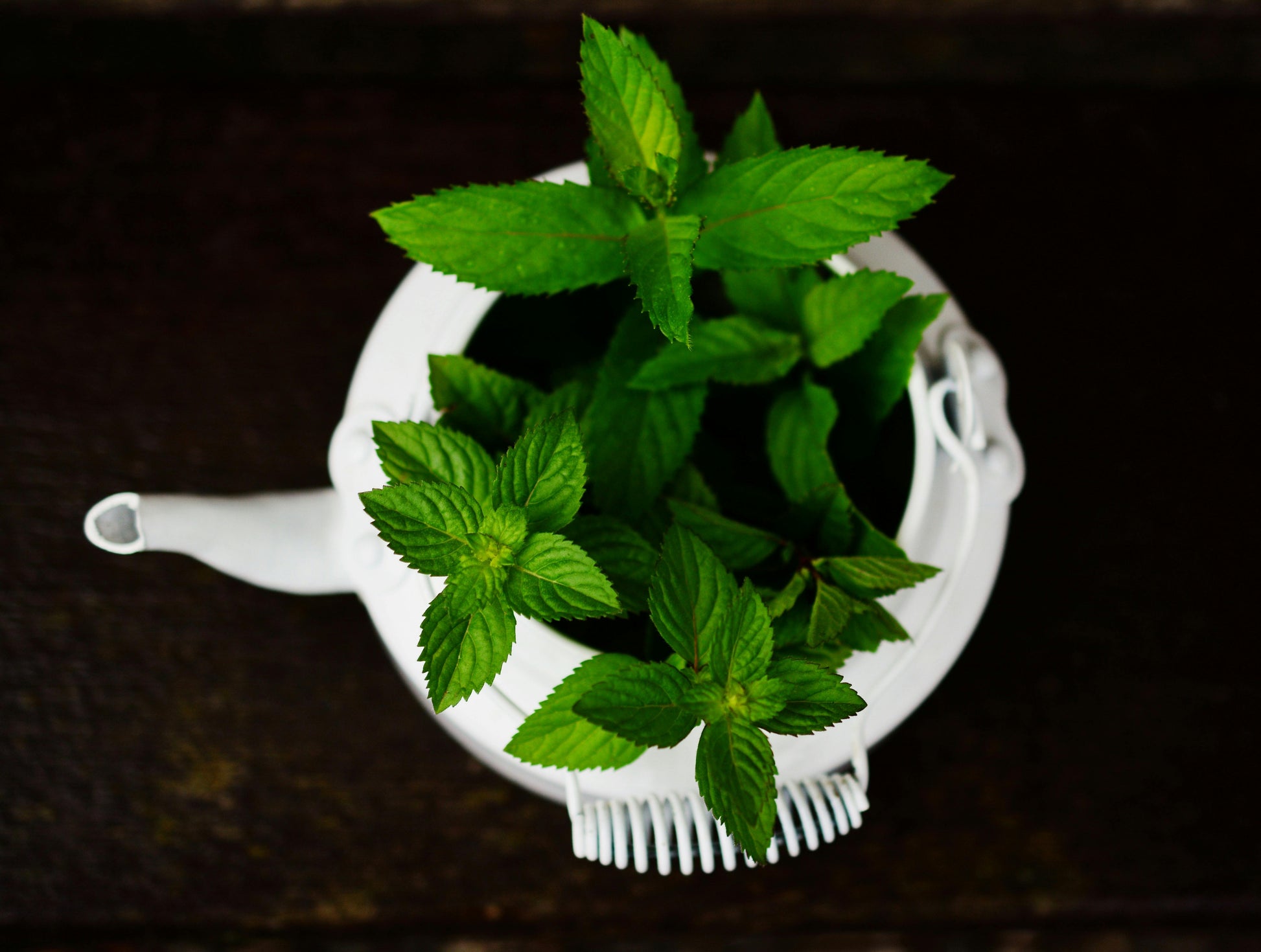 Peppermint Fresh